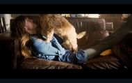 Still from the movie (Image via Universal Pictures)